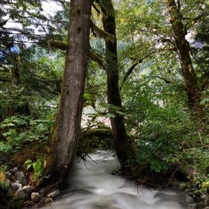 Meet your Posher, Denice